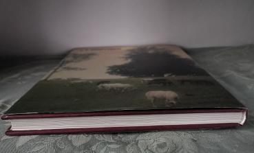 Das Haupt- und Landgestüt Marbach - Die Pferde, die Landschaft, die Menschen und 400 Jahre Zuchtgeschichte - Heck, Weiss