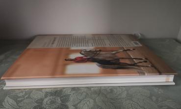 Der Dressursitz: Richtig sitzen - Feiner reiten - Gesunder Pferderücken - Anja Beran