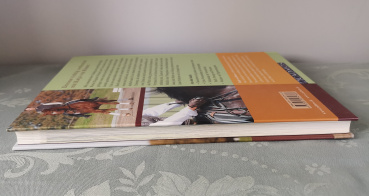 Dressur richtig vorbereitet mit Katja von Rönne: Mit der richtigen Trainingsmethode zum Erfolg