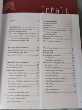 Ein Fohlen von der eigenen Stute: Eine Anleitung für Hobbyzüchter: Eine Handbuch für angehende Hobbyzüchter - Karin Kattwinkel