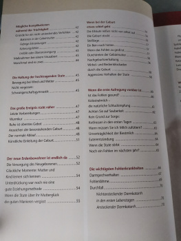 Ein Fohlen von der eigenen Stute: Eine Anleitung für Hobbyzüchter: Eine Handbuch für angehende Hobbyzüchter - Karin Kattwinkel