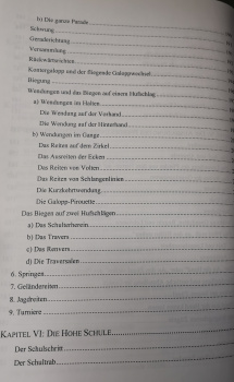 Im Damensattel: Eine Reitlehre für die Frau - Dorothea Faltejsek