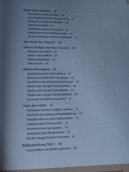 Pferde-Shooting: So fotografieren Sie Pferde professionell:  Für besondere Fotos von Anfang an! - Wiebke Haas