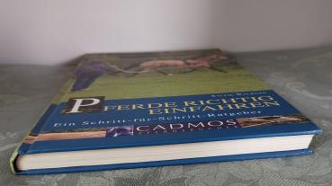 Pferde richtig einfahren - Ein Schritt-für-Schritt-Ratgeber