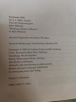 Pferde richtig einfahren - Ein Schritt-für-Schritt-Ratgeber