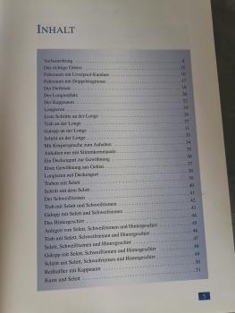 Pferde richtig einfahren - Ein Schritt-für-Schritt-Ratgeber