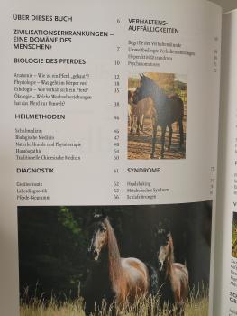 Praxishandbuch Pferdegesundheit: Krankheiten und Syndrome, Diagnostik, Therapie - Ingolf Bender und Dr. Tina Ritter