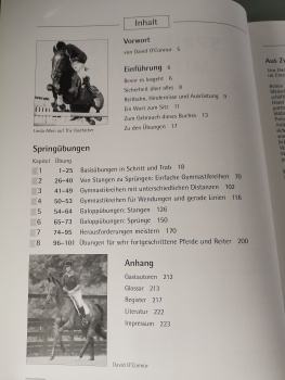 Springreiten mit System: 101 Gymnastikreihen – vom Einsteiger zum Profi - Linda Allen