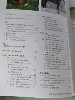 Steile Schulter, kurzer Rücken und Co.: Ausbildung und Korrektur von Pferden mit Exterieurmängeln - Christine Hlauscheck