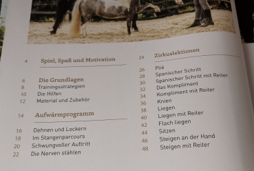 Zirkustricks mit Pferden: Gymnastizieren, Motivieren, Partnerschaft stärken - Sigrid Schöpe