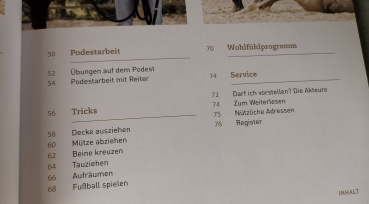 Zirkustricks mit Pferden: Gymnastizieren, Motivieren, Partnerschaft stärken - Sigrid Schöpe