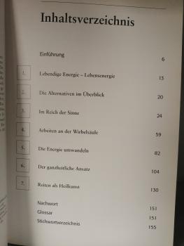Ganzheitliche Medizin für Pferde Sara Wyche