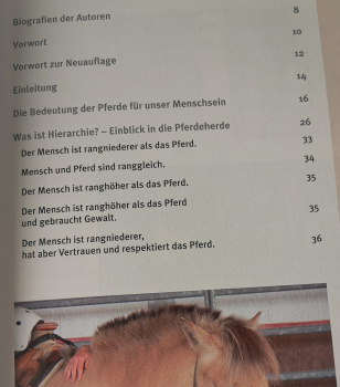 Das Pferdisch Prinzip: Neue Wege im Umgang mit Pferden und Menschen - Christine Pohl, Friedhelm Pohl