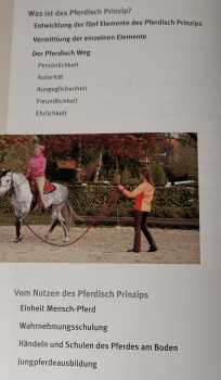 Das Pferdisch Prinzip: Neue Wege im Umgang mit Pferden und Menschen - Christine Pohl, Friedhelm Pohl