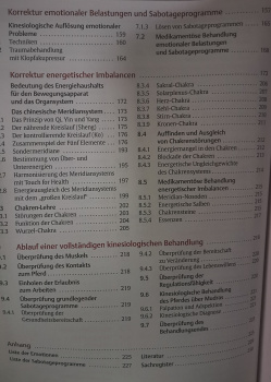 Kinesologie beim Pferd - Grundlagen und Praxis - Christina Fritz
