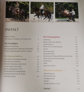 Pferde gesund reiten: nach der medizinischen Reitlehre - Dr. Robert Stodulka