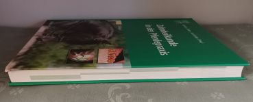 Zahnheilkunde in der Pferdepraxis - Gordon J. Baler und Jack Easley