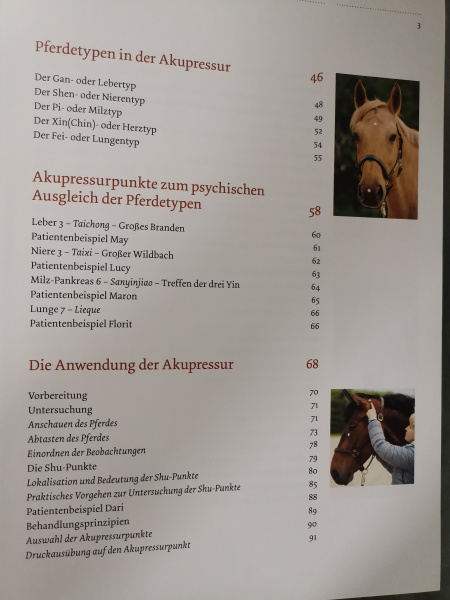 Akupressur für Pferde: Wirkung und Anwendung - Ina Gösmeier