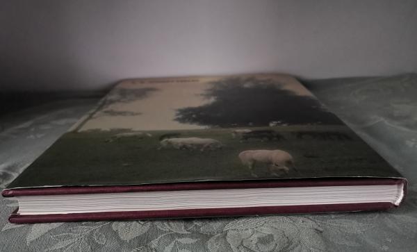 Das Haupt- und Landgestüt Marbach - Die Pferde, die Landschaft, die Menschen und 400 Jahre Zuchtgeschichte - Heck, Weiss