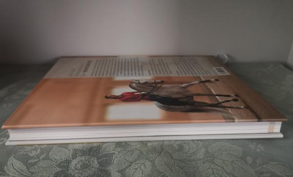 Der Dressursitz: Richtig sitzen - Feiner reiten - Gesunder Pferderücken - Anja Beran