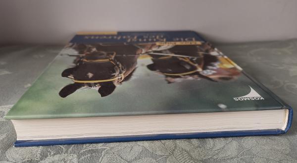 Die Kunst des Fahrens: Fahren und Anspannen nach den Richtlinien von Benno von Achenbach  - Max Pape