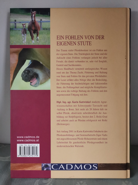 Ein Fohlen von der eigenen Stute: Eine Anleitung für Hobbyzüchter: Eine Handbuch für angehende Hobbyzüchter - Karin Kattwinkel