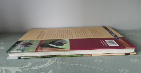 Ein Fohlen von der eigenen Stute: Eine Anleitung für Hobbyzüchter: Eine Handbuch für angehende Hobbyzüchter - Karin Kattwinkel