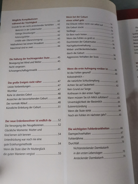 Ein Fohlen von der eigenen Stute: Eine Anleitung für Hobbyzüchter: Eine Handbuch für angehende Hobbyzüchter - Karin Kattwinkel