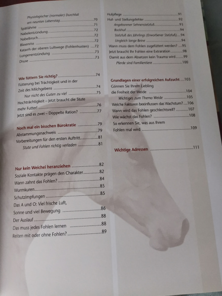 Ein Fohlen von der eigenen Stute: Eine Anleitung für Hobbyzüchter: Eine Handbuch für angehende Hobbyzüchter - Karin Kattwinkel