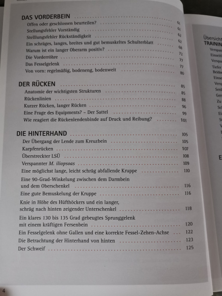 Einmal überbaut, immer überbaut?: Exterieuranalyse und Tipps zum Pferde-Training - Barbara Welter-Böller, Claudia Weingand