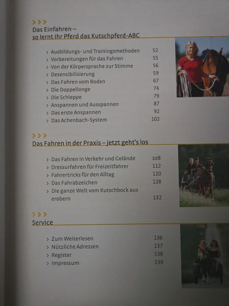 Einspännig Fahren: Freude am Fahren mit dem Pferd - Sylvia Frevert