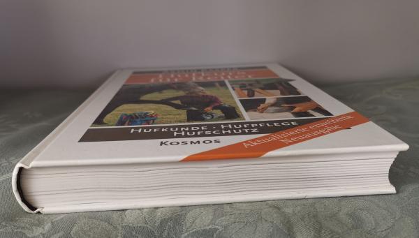 Hufkurs für Reiter - Hufkunde - Hufpflege - Hufschutz - Armin Kasper