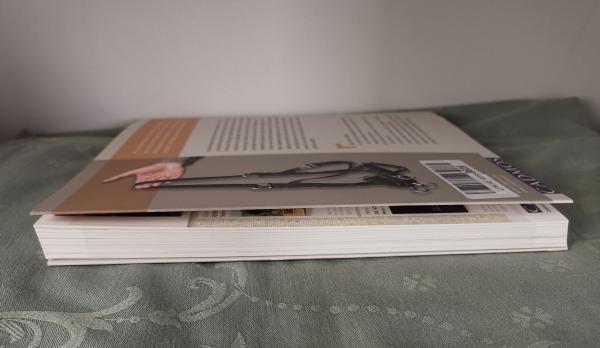 Klassische Arbeit am Kappzaum: Die Ausbildung am Boden und unter dem Sattel - Desmon O´Brien