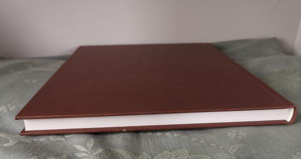 Perfekt Dressur Reiten - Wege zur klassischen Pferdeausbildung - Dominique Barbier und Mary Daniels