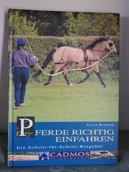 Pferde richtig einfahren - Ein Schritt-für-Schritt-Ratgeber