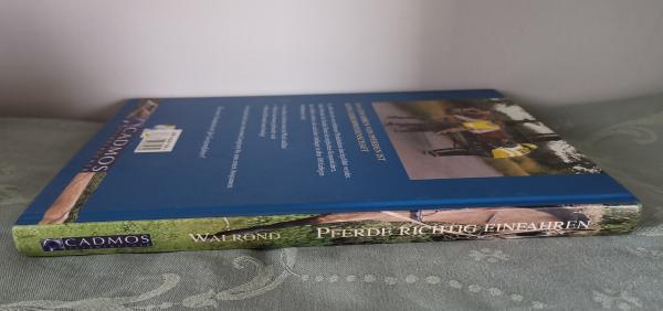 Pferde richtig einfahren - Ein Schritt-für-Schritt-Ratgeber