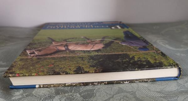 Pferde richtig einfahren - Ein Schritt-für-Schritt-Ratgeber