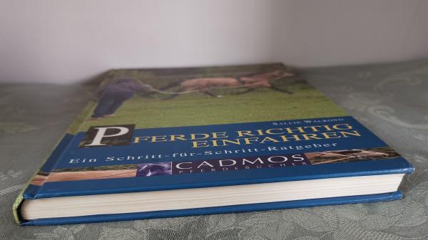 Pferde richtig einfahren - Ein Schritt-für-Schritt-Ratgeber