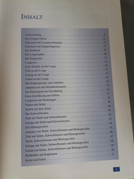 Pferde richtig einfahren - Ein Schritt-für-Schritt-Ratgeber