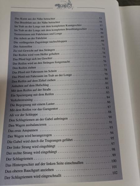 Pferde richtig einfahren - Ein Schritt-für-Schritt-Ratgeber