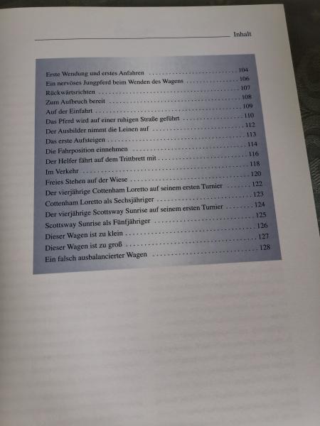 Pferde richtig einfahren - Ein Schritt-für-Schritt-Ratgeber