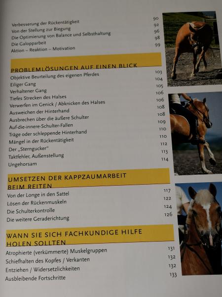Rückentraining mit dem Kappzaum: Pferde lösen, ausbilden, gymnastizieren - Kirsten Jung