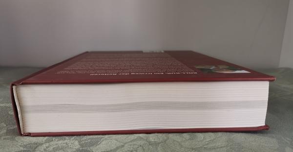 Roll-Kur: Die Überzäumung des Pferdes - Heinz Meyer - Rollkur