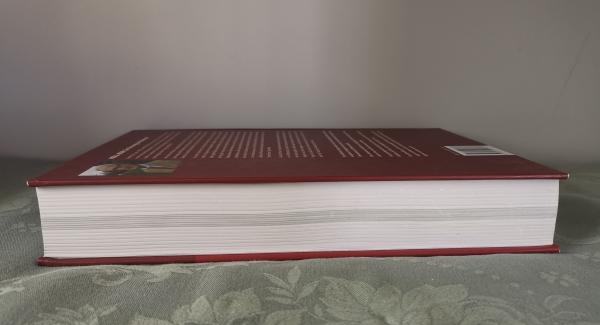 Roll-Kur: Die Überzäumung des Pferdes - Heinz Meyer - Rollkur