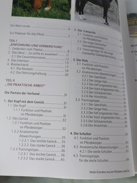 Steile Schulter, kurzer Rücken und Co.: Ausbildung und Korrektur von Pferden mit Exterieurmängeln - Christine Hlauscheck