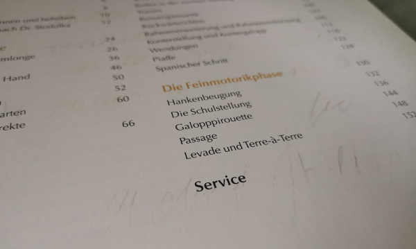 Pferde gesund reiten: nach der medizinischen Reitlehre - Dr. Robert Stodulka