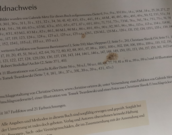 Pferde gesund reiten: nach der medizinischen Reitlehre - Dr. Robert Stodulka
