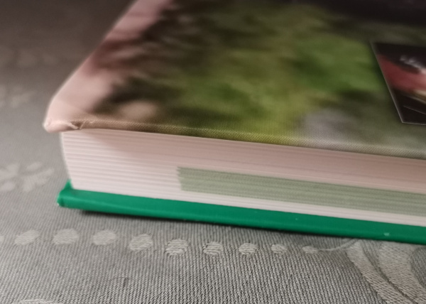 Zahnheilkunde in der Pferdepraxis - Gordon J. Baler und Jack Easley