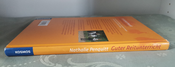 Guter Reitunterricht: Die Kunst zu unterrichten - kompetent und kreativ - Nathalie Penquitt