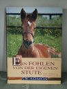 Ein Fohlen von der eigenen Stute: Eine Anleitung für Hobbyzüchter: Eine Handbuch für angehende Hobbyzüchter - Karin Kattwinkel